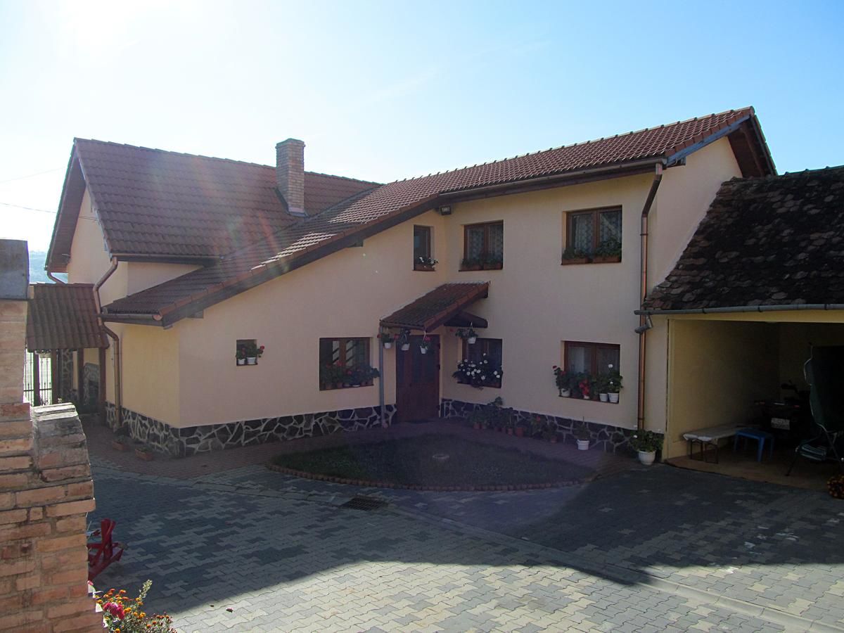 Виллы Casa Simion Caşolţ-19