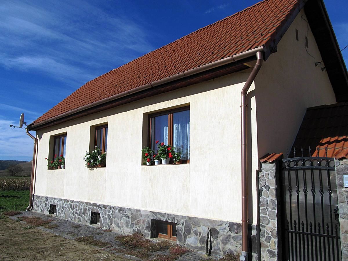 Виллы Casa Simion Caşolţ-27
