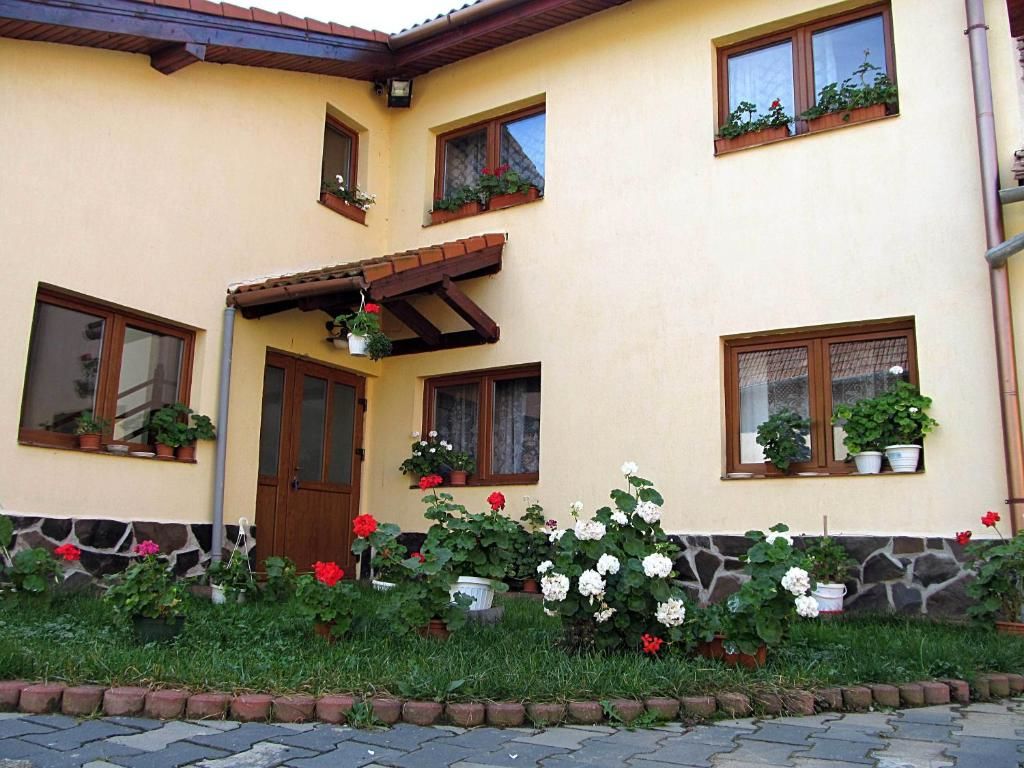Виллы Casa Simion Caşolţ