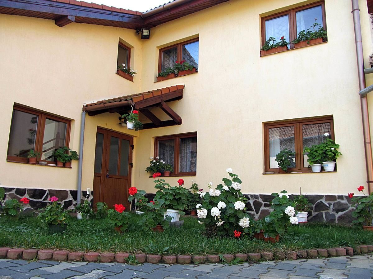 Виллы Casa Simion Caşolţ